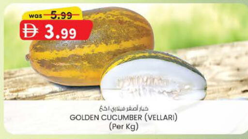 Cucumber available at صفا هايبر in الإمارات العربية المتحدة , الامارات - ٱلْعَيْن‎