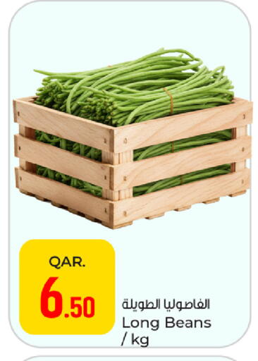 available at باريس هايبرماركت in قطر - أم صلال
