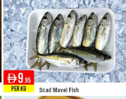 available at West Zone Supermarket in UAE - Dubai