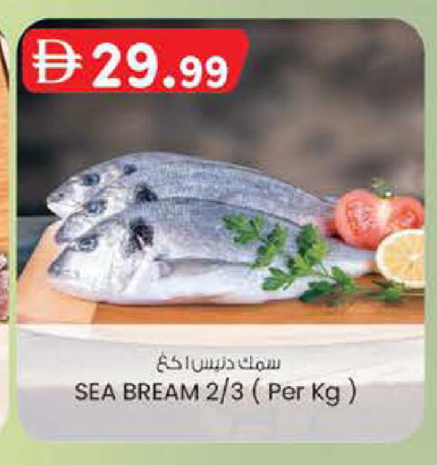 available at ك. الم. للتجارة in الإمارات العربية المتحدة , الامارات - أبو ظبي