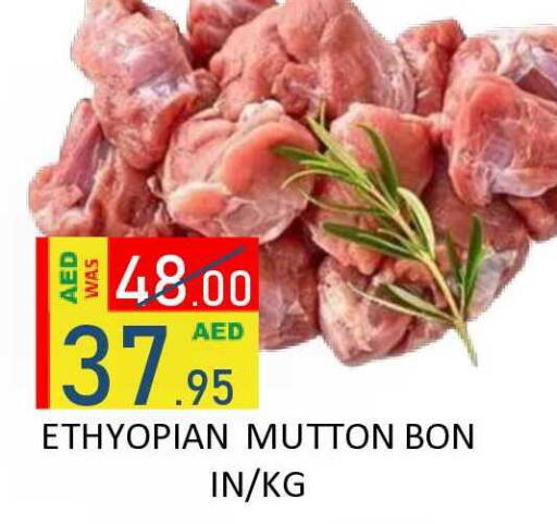 available at رويال جلف هايبرماركت in الإمارات العربية المتحدة , الامارات - أبو ظبي