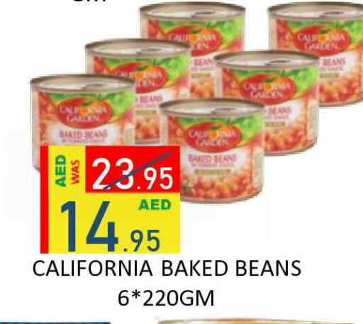 available at رويال جلف هايبرماركت in الإمارات العربية المتحدة , الامارات - أبو ظبي