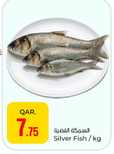 available at باريس هايبرماركت in قطر - أم صلال