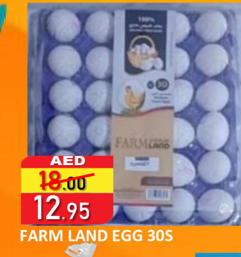 available at رويال جلف هايبرماركت in الإمارات العربية المتحدة , الامارات - أبو ظبي