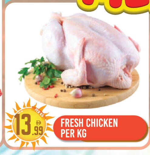 available at دريم لاند in الإمارات العربية المتحدة , الامارات - دبي