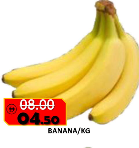 Banana available at رويال جلف هايبرماركت in الإمارات العربية المتحدة , الامارات - أبو ظبي