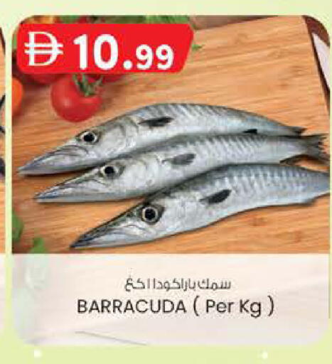 available at Al Safa in UAE - Abu Dhabi