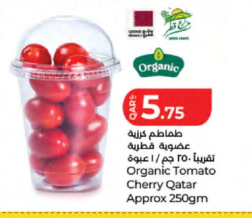 Cherry Tomato from Qatar available at LuLu Hypermarket in Qatar - Al Rayyan