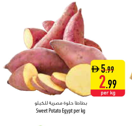 Sweet Potato from Egypt available at السفير ماركت in الإمارات العربية المتحدة , الامارات - أبو ظبي