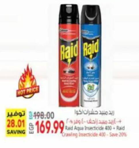 available at New.Penny.market in Egypt - Cairo