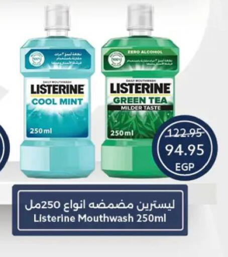 Mint available at  أوسكار جراند ستورز  in Egypt - القاهرة