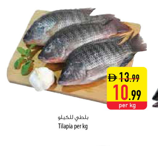 available at السفير ماركت in الإمارات العربية المتحدة , الامارات - رَأْس ٱلْخَيْمَة