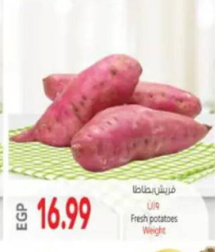 available at سوبر ماركت الحسينى in Egypt - القاهرة