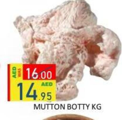 available at رويال جلف هايبرماركت in الإمارات العربية المتحدة , الامارات - أبو ظبي