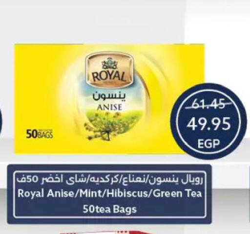 Anise Mint available at  أوسكار جراند ستورز  in Egypt - القاهرة