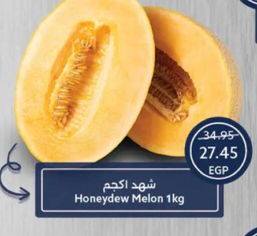 Melon available at  أوسكار جراند ستورز  in Egypt - القاهرة