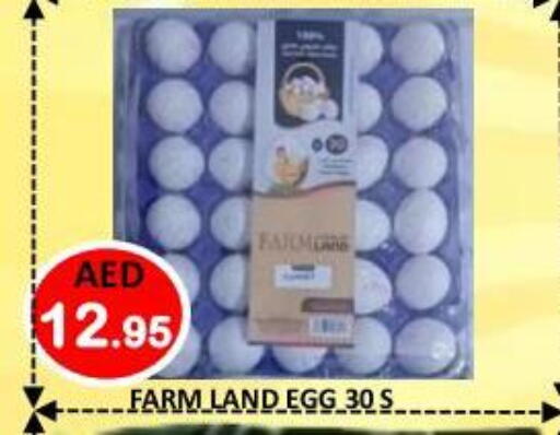 available at رويال جلف هايبرماركت in الإمارات العربية المتحدة , الامارات - أبو ظبي