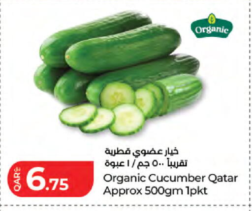 Cucumber from Qatar available at LuLu Hypermarket in Qatar - Al Rayyan