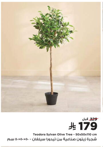 available at هوم بوكس in مملكة العربية السعودية, السعودية, سعودية - المدينة المنورة