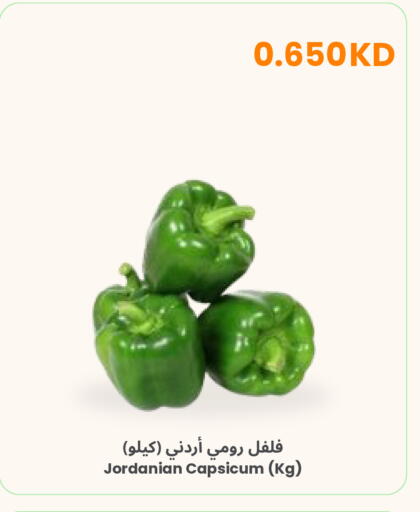 Capsicum from Jordan available at مركز سلطان in الكويت - محافظة الجهراء