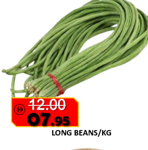 available at رويال جلف هايبرماركت in الإمارات العربية المتحدة , الامارات - أبو ظبي