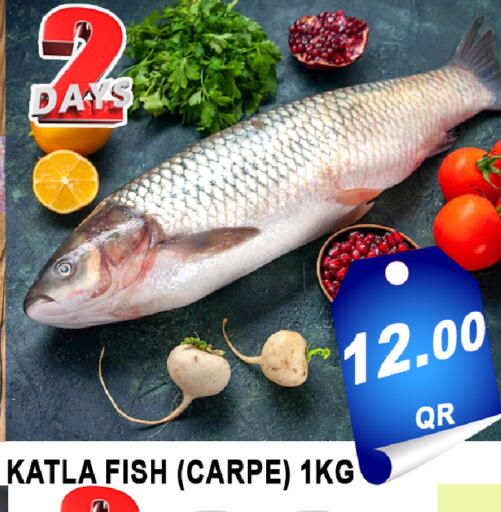 available at باشن هايبر ماركت in قطر - الخور