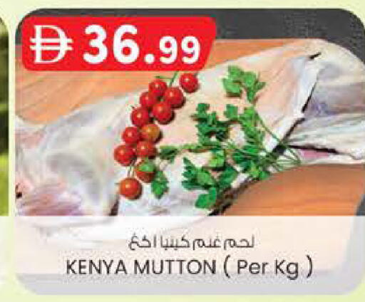 available at الصفا in الإمارات العربية المتحدة , الامارات - ٱلْعَيْن‎