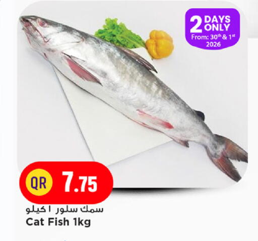 available at مرزا هايبرماركت in قطر - الخور