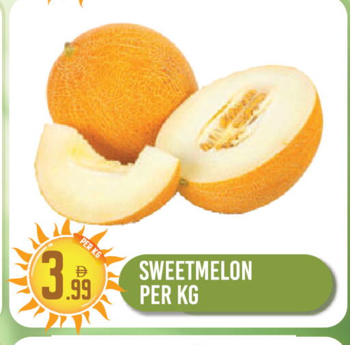 available at دريم لاند in الإمارات العربية المتحدة , الامارات - دبي