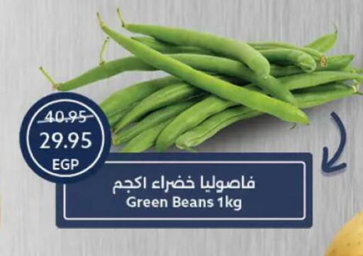 available at  أوسكار جراند ستورز  in Egypt - القاهرة