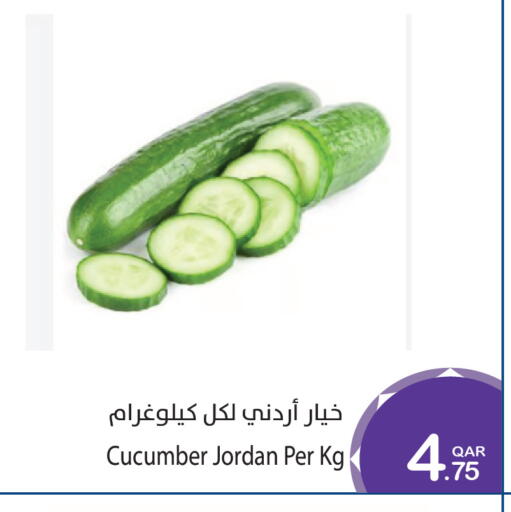 Cucumber from Jordan available at Megamart in Qatar - Al Wakra