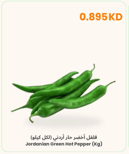 Pepper from Jordan available at مركز سلطان in الكويت - محافظة الجهراء