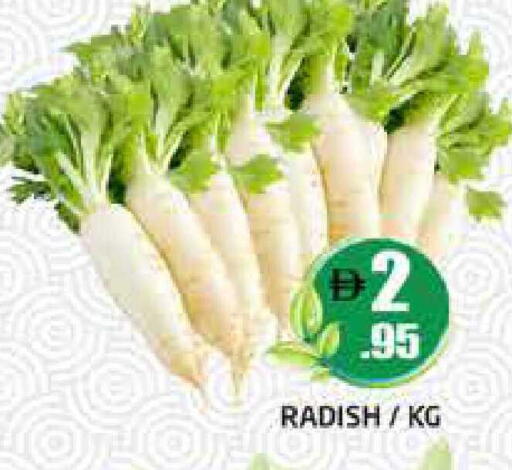 Radish available at هايبر ماركت باسونز in الإمارات العربية المتحدة , الامارات - دبي
