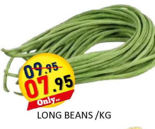 available at رويال جلف هايبرماركت in الإمارات العربية المتحدة , الامارات - أبو ظبي