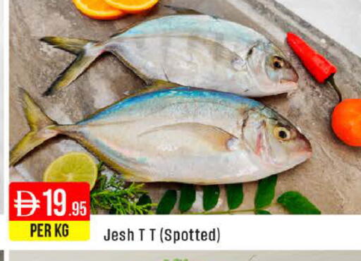 available at West Zone Supermarket in UAE - Dubai