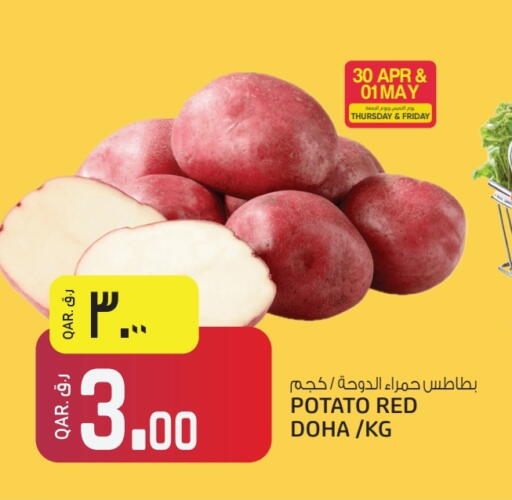 Potato from Qatar available at Saudia Hypermarket in Qatar - Al Wakra
