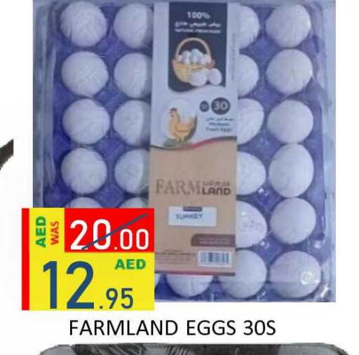 available at رويال جلف هايبرماركت in الإمارات العربية المتحدة , الامارات - أبو ظبي
