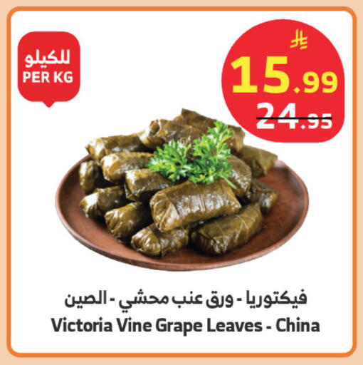 available at Al Raya in KSA, Saudi Arabia, Saudi - Khamis Mushait