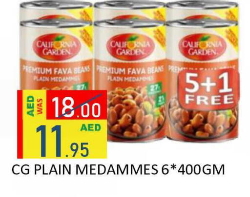 available at رويال جلف هايبرماركت in الإمارات العربية المتحدة , الامارات - أبو ظبي
