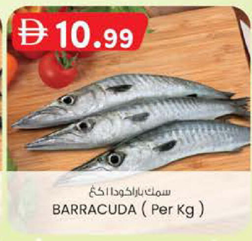 available at K.M Hypermarket in UAE - Al Ain