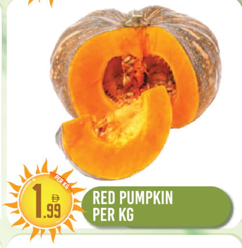 Pumpkin available at دريم لاند in الإمارات العربية المتحدة , الامارات - دبي