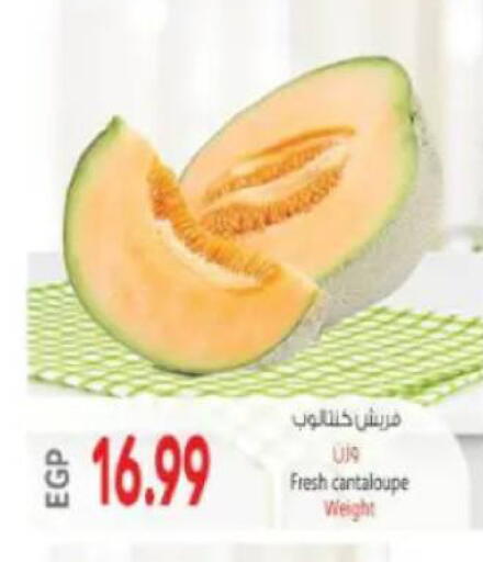 Cantaloupe available at سوبر ماركت الحسينى in Egypt - القاهرة