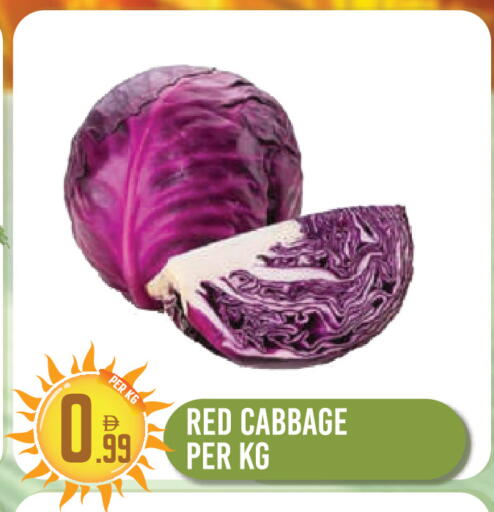 Cabbage available at دريم لاند in الإمارات العربية المتحدة , الامارات - دبي