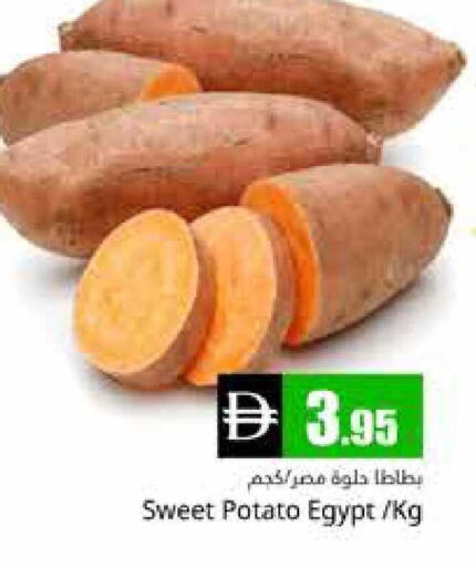 Sweet Potato from Egypt available at هايبر ماركت باسونز in الإمارات العربية المتحدة , الامارات - دبي