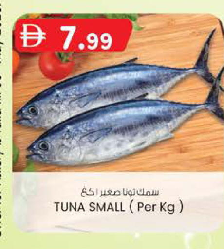 available at Al Safa in UAE - Abu Dhabi