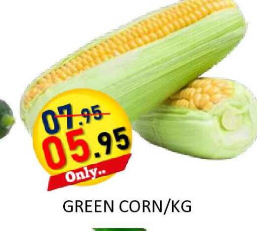 available at رويال جلف هايبرماركت in الإمارات العربية المتحدة , الامارات - أبو ظبي