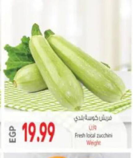 Zucchini available at ماركت بني الجديد in Egypt - القاهرة