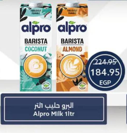 Coconut available at  أوسكار جراند ستورز  in Egypt - القاهرة