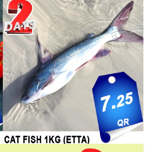 available at باشن هايبر ماركت in قطر - الخور