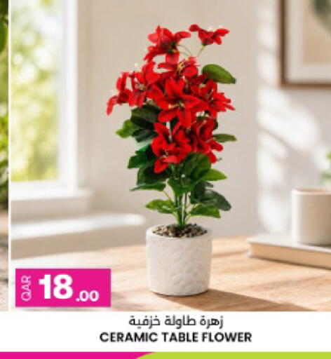 available at أنصار جاليري in قطر - الضعاين